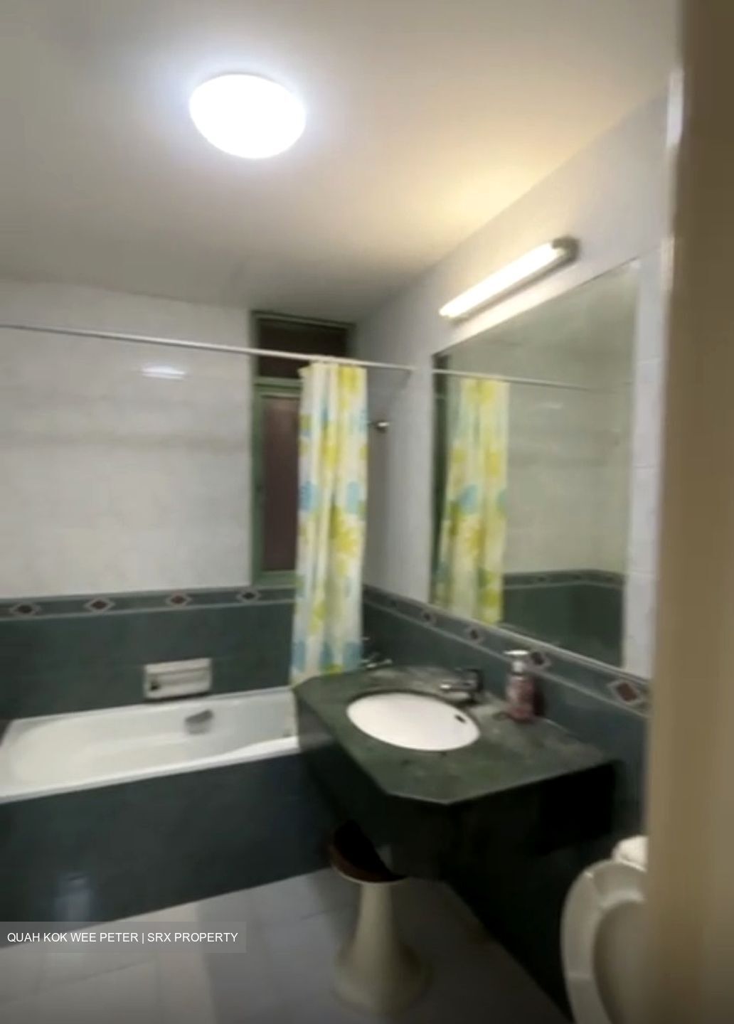 Tiara (D9), Condominium #555143541